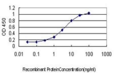 ELISA: Galectin-8 Antibody (3E5) [H00003964-M01]