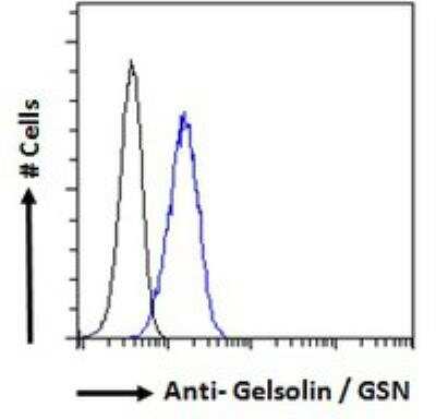 Flow Cytometry: Gelsolin/GSN Antibody [NB100-53814]