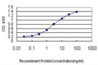 ELISA: Geminin Antibody (1A8) [H00051053-M01]