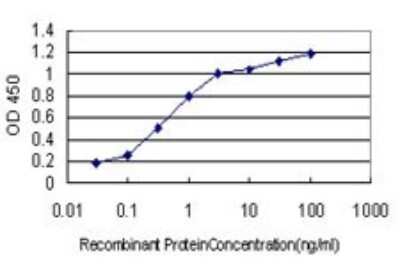 ELISA: GilZ Antibody (3A5) [H00001831-M01]