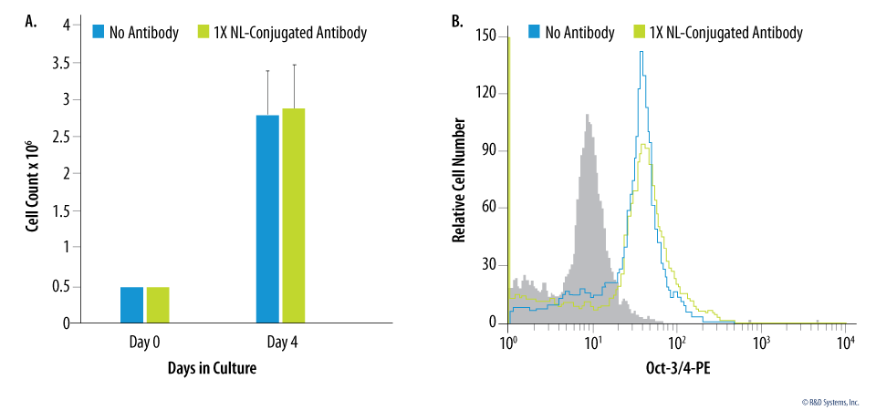 Analysis of Human Embryonic Stem Cell Growth and Stemness Post-staining.
