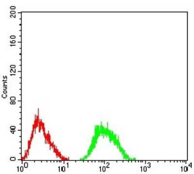 ELISA: GluR2 Antibody (7A7D12) - BSA Free [NBP2-61776]