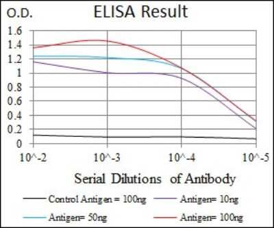 ELISA: GluR2 Antibody (7G6) - BSA Free [NBP2-37475]