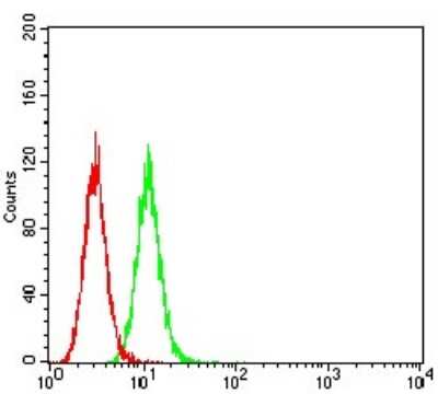 ELISA: GluR7/GRIK3 Antibody (2B4H1) - BSA Free [NBP2-61783]