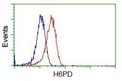 Flow Cytometry: Glucose 1-dehydrogenase Antibody (OTI2A7) - Azide and BSA Free [NBP2-71478]