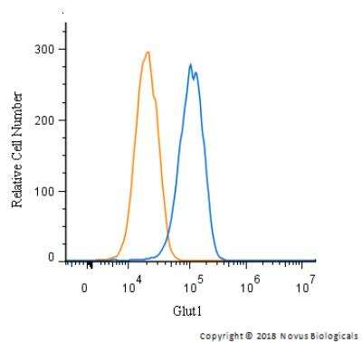 Flow Cytometry: Glut1 Antibody - BSA Free [NB110-39113]