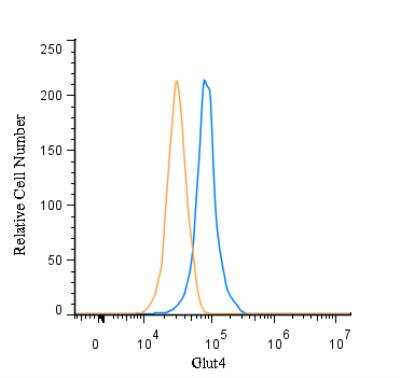 Flow (Intracellular): Glut4 Antibody - BSA Free [NBP1-49533]