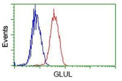 Flow Cytometry: Glutamine Synthetase Antibody (OTI1F4) - Azide and BSA Free [NBP2-70834]