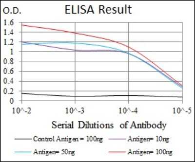 ELISA: Glutathione S-Transferase mu 1/GSTM1 Antibody (1H4F2) - BSA Free [NBP2-22186]