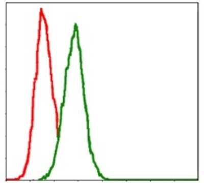 Flow Cytometry: Glutathione S-Transferase mu 1/GSTM1 Antibody (1H4F2) - BSA Free [NBP2-22186]