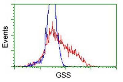 Flow Cytometry: Glutathione Synthetase Antibody (OTI1B8) [NBP2-03351]