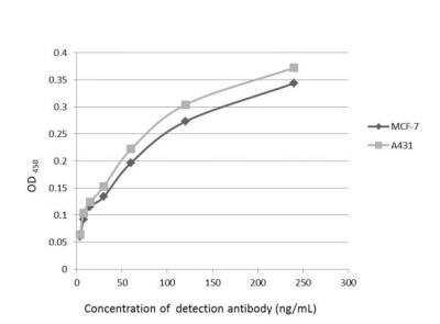 ELISA: Glypican 1 Antibody [NBP1-33197]