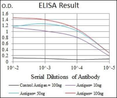 ELISA: Glypican 3 Antibody (9C2) - BSA Free [NBP2-37483]
