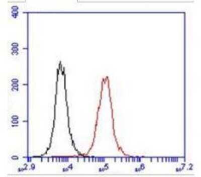 Flow Cytometry: Glypican 4 Antibody (51E3) - BSA Free [NBP2-49892]