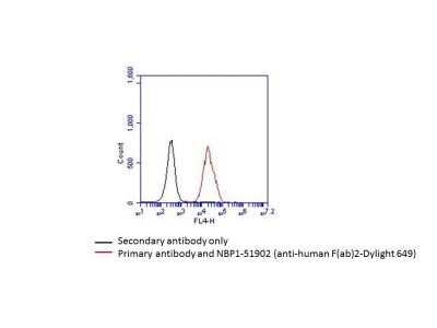 Flow Cytometry: Goat F(ab')2 anti-Human IgG F(ab')2 Secondary Antibody (Pre-adsorbed) [NBP1-51900]