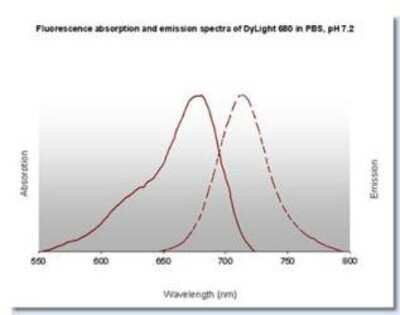 ELISA: Goat anti-Human IgM Heavy Chain Secondary Antibody [NBP2-60670]
