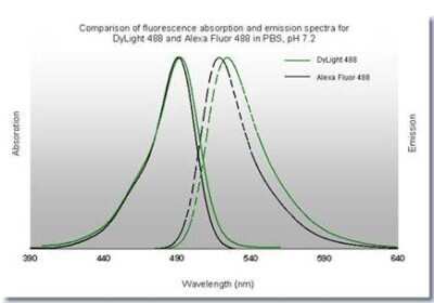Fluorophore-linked immunosorbent assay: Goat anti-Human IgM Heavy Chain Secondary Antibody [NBP2-60670]