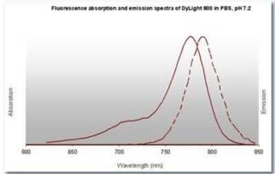 Fluorophore-linked immunosorbent assay: Goat anti-Mouse IgM Heavy Chain Secondary Antibody [NB120-9167]