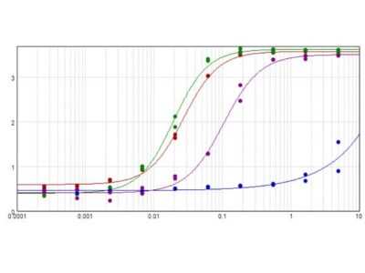 ELISA: Goat anti-Rabbit IgG Fc Secondary Antibody (Pre-adsorbed) [NBP2-60663]