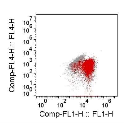 Flow Cytometry: Goat anti-Rabbit IgG (H+L) Secondary Antibody [NB7156]