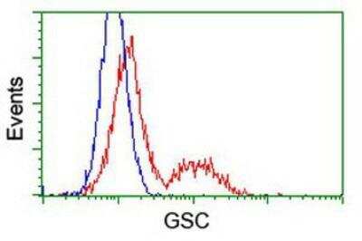 Flow Cytometry: Goosecoid Antibody (OTI1D7) [NBP1-47790]