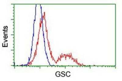 Flow Cytometry: Goosecoid Antibody (OTI1D7) - Azide and BSA Free [NBP2-72409]
