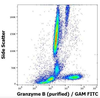 Flow (Intracellular): Granzyme B Antibody (CLB-GB11) [NBP1-50071]