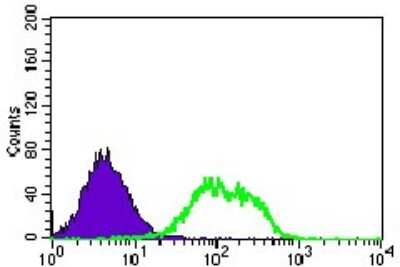 Flow Cytometry: Guanylyl Cyclase alpha 1 Antibody (3G6B2) - BSA Free [NBP2-37401]