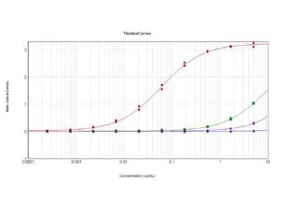ELISA: Guinea Pig anti-Rabbit IgG (H+L) Secondary Antibody (Pre-adsorbed) [NBP1-72763]