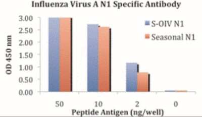 ELISA: H1N1 Neuraminidase Antibody - BSA Free [NBP2-41110]