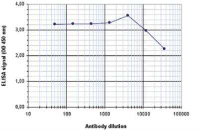ELISA: Histone H2A.Z Antibody [NBP2-54618]