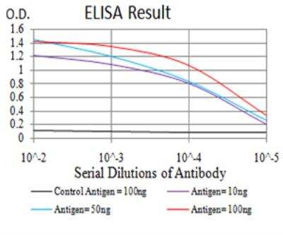 ELISA: H4/n Antibody (3E7D9) - BSA Free [NBP2-52487]