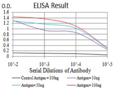 ELISA: H4/n Antibody (3E7H2) - BSA Free [NBP2-52486]
