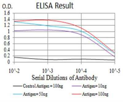ELISA: H4/n Antibody (7A2A7) - BSA Free [NBP2-52488]
