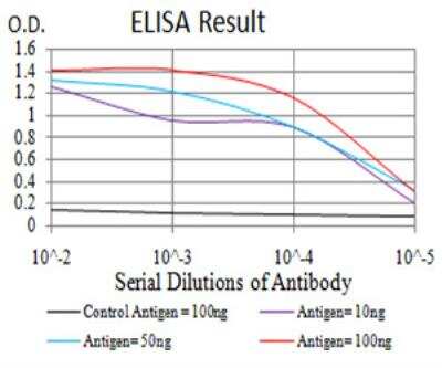 ELISA: H4/n Antibody (7A2E10) - BSA Free [NBP2-52489]