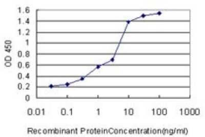 ELISA: HADH Antibody (4B5) [H00003033-M01]
