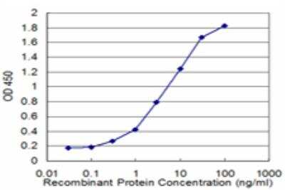 ELISA: HARS Antibody (4D4) [H00003035-M03]