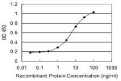 ELISA: HBLD2 Antibody (1A11) [H00081689-M02]