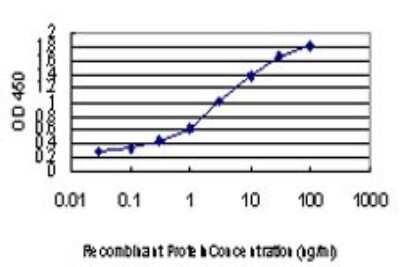 ELISA: HCC1 Antibody (4G8) [H00009584-M01]