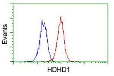 Flow Cytometry: HDHD1A Antibody (OTI7A2) [NBP2-00487]