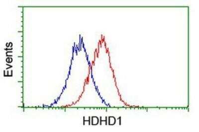 Flow Cytometry: HDHD1A Antibody (OTI7A2) - Azide and BSA Free [NBP2-71368]