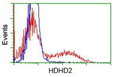 Flow Cytometry: HDHD2 Antibody (OTI4G3) [NBP2-00697]