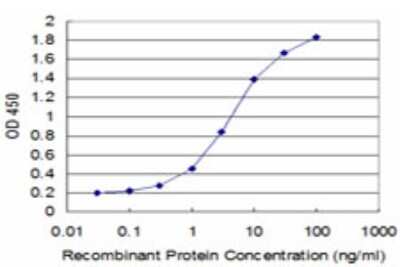 ELISA: HEY1 Antibody (3B3) [H00023462-M01]