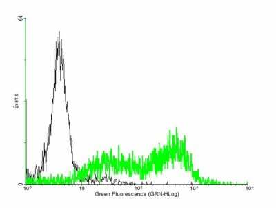Flow Cytometry: HFE Antibody [H00003077-B01P]