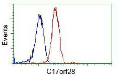 Flow Cytometry: HID1 Antibody (OTI2F4) - Azide and BSA Free [NBP2-72481]