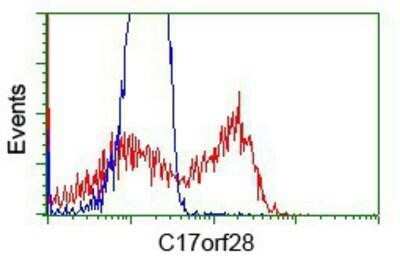 Flow Cytometry: HID1 Antibody (OTI2F4) - Azide and BSA Free [NBP2-72481]