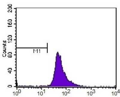 Flow Cytometry: HIF-2 alpha/EPAS1 Antibody (ep190b) - Azide and BSA Free [NBP2-80766]