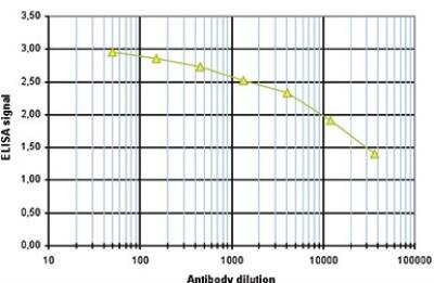 ELISA: HIST1H2AD Antibody [NBP3-11870]