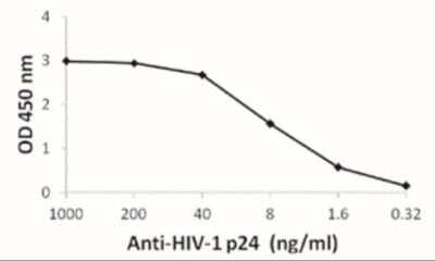 ELISA: HIV-1 Gag p24 Antibody (7F4) - BSA Free [NBP2-41339]