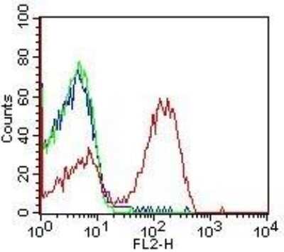 Flow (Cell Surface): HLA DMA Antibody (6B12NB) - Azide Free [NBP2-44304]